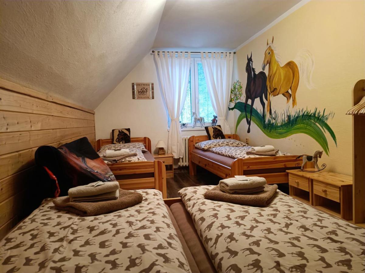 Jizdarna Malenovice Apartment Malenovice  Ngoại thất bức ảnh