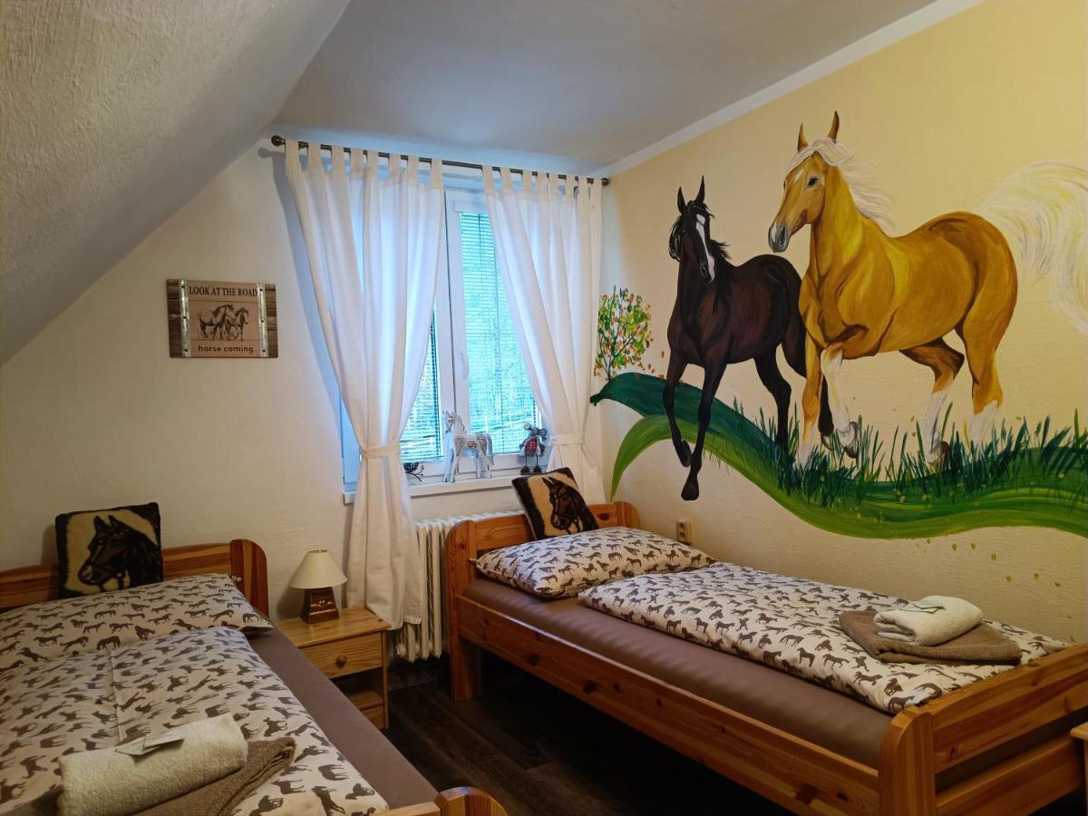 Jizdarna Malenovice Apartment Malenovice  Ngoại thất bức ảnh